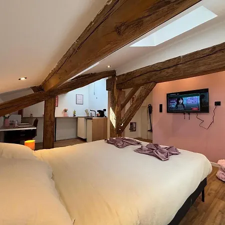 Studio Rosa Parking Et Clim Apartment Laxou