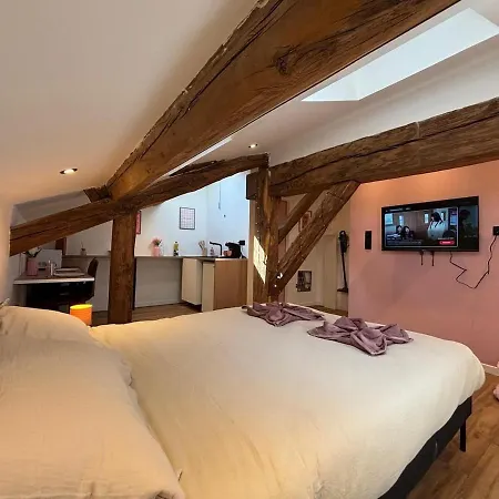 Studio Rosa Parking Et Clim Apartment