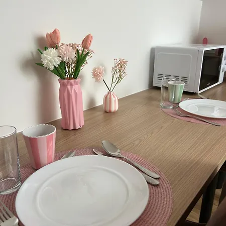 Studio Rosa Parking Et Clim Apartment *